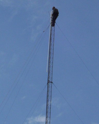 photo13.jpg