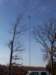 photo3_small.jpg