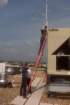 img00381_small.jpg